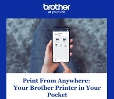 Email newsletter preview