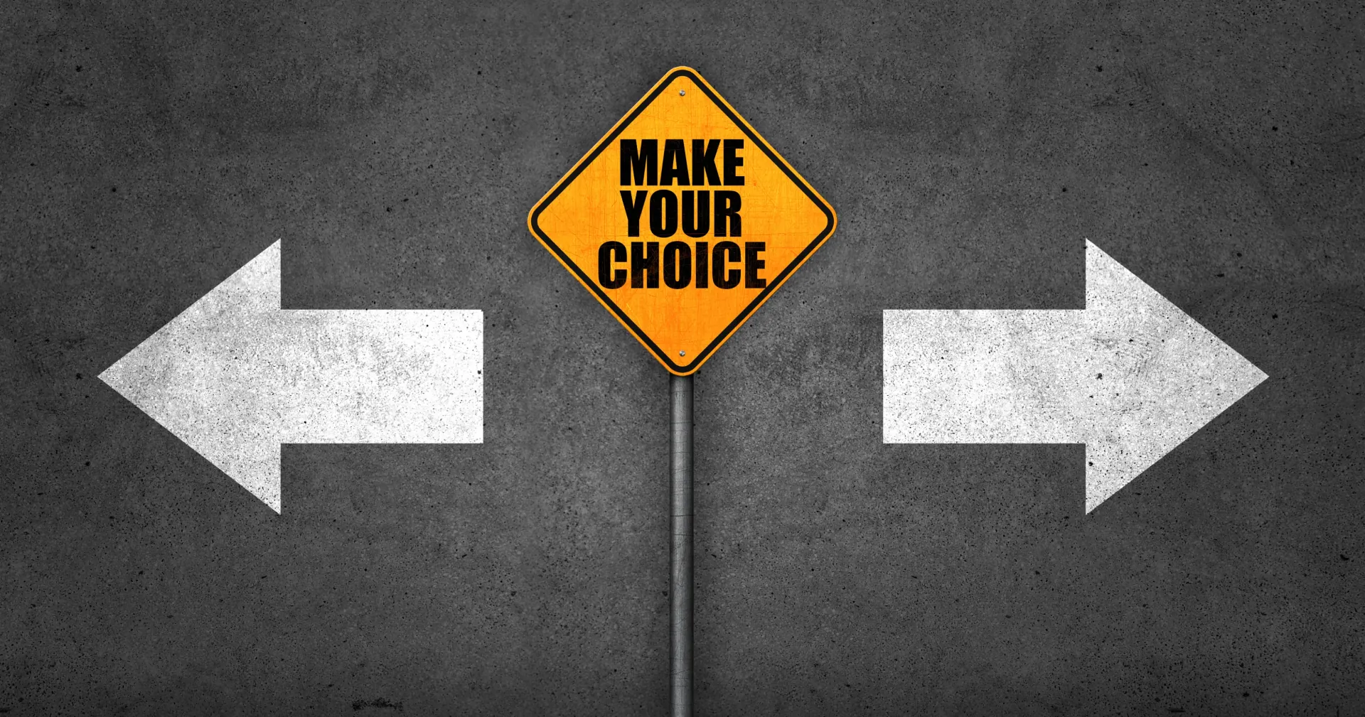 Making The Right Choice For Your Business | 2Stallions