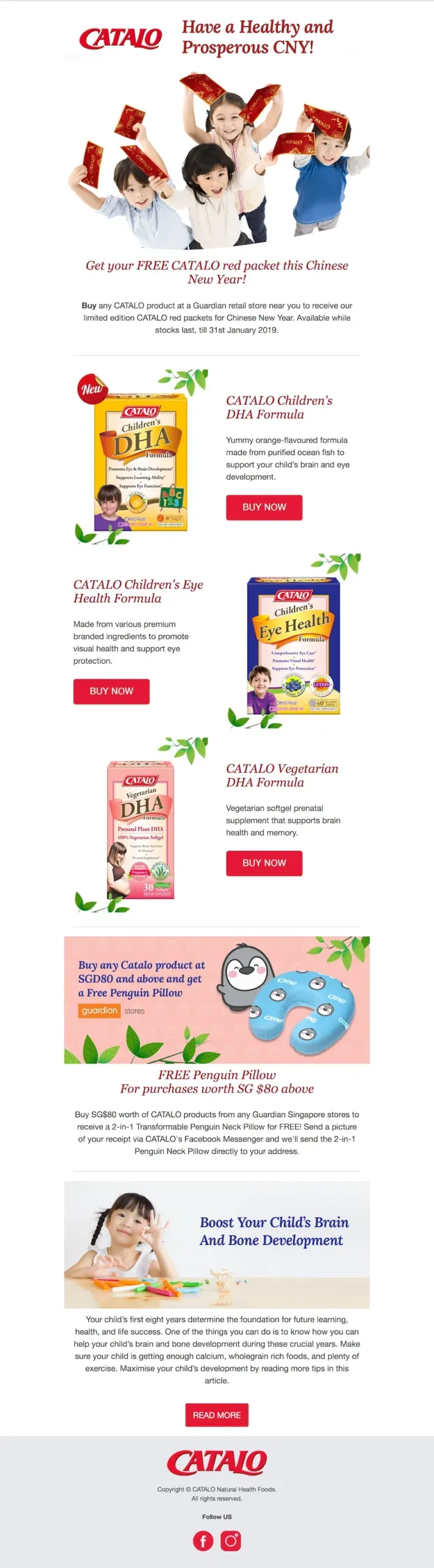 Catalo email campaign