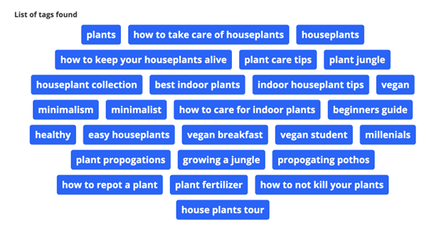 List of YouTube tags found for a houseplant video. It shows using tags effectively to optimise your YouTube videos for SEO.