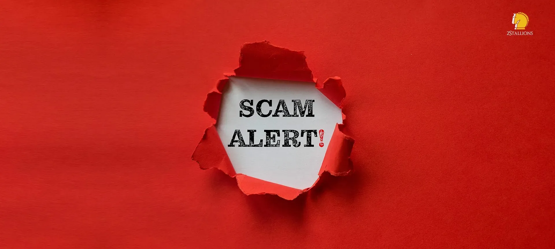Important Notice: Stay Alert to Scams Misrepresenting 2Stallions
