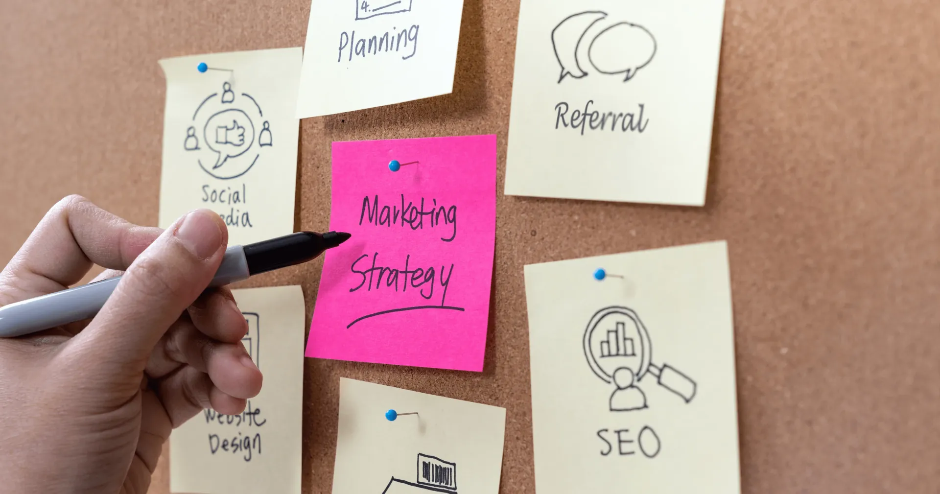 Marketing Strategy | 2Stallions