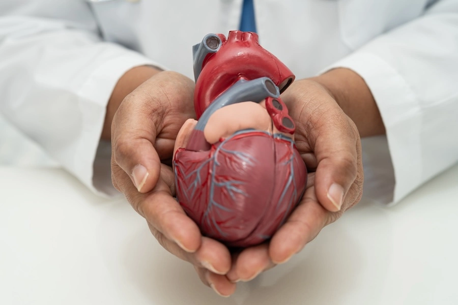 A Cardiology Clinic Chain