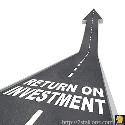 Return on Investment on PPC - 2Stallions
