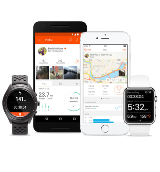 Strava (Niche Fitness Enthusiasts)