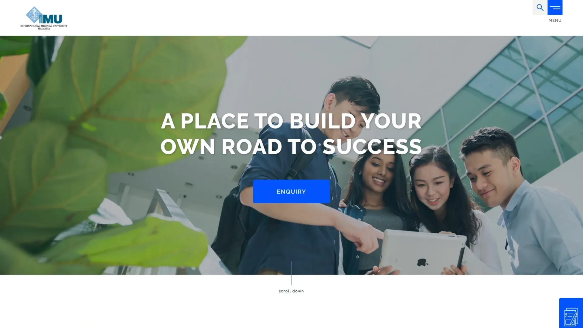 IMU University website portfolio