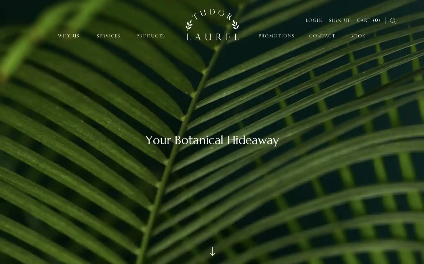 Tudor Laurel Website Project by 2Stallions Tudor Laurel Website Project by 2Stallions | Web Design Portfolio