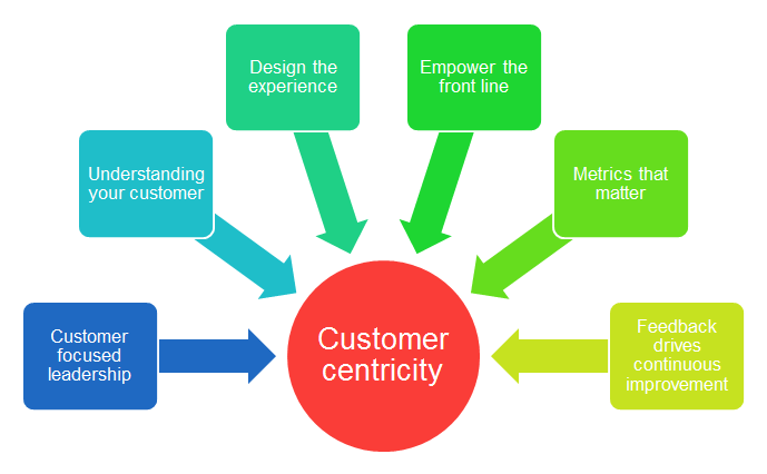 5 Customer-Centric Approaches That Makes Sense | 2Stallions