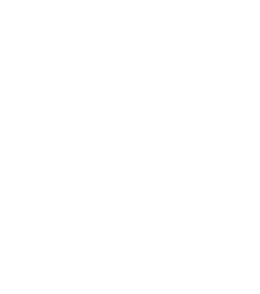 Shopify Development Agency In Singapore