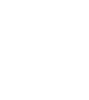 Shopify Logo Icon Shopify logo icon