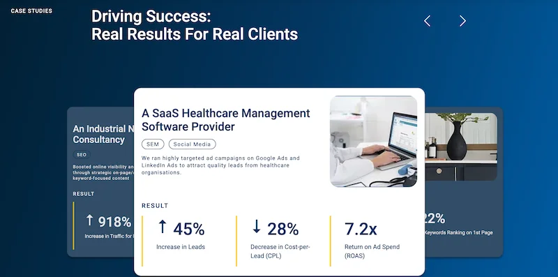 Case Studies-section-2stallions